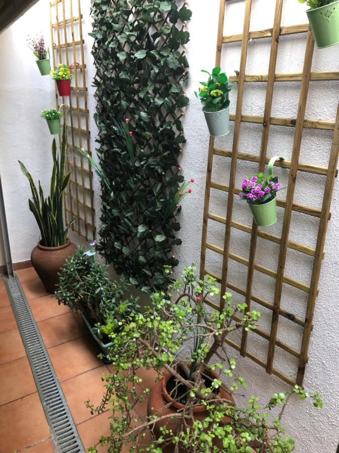 Merry'S House ラゴス エクステリア 写真